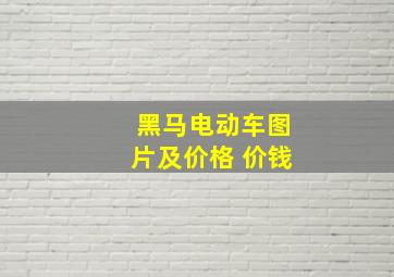 黑马电动车图片及价格 价钱